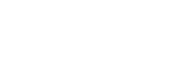 大きな翼を持つ雷翼の影絵